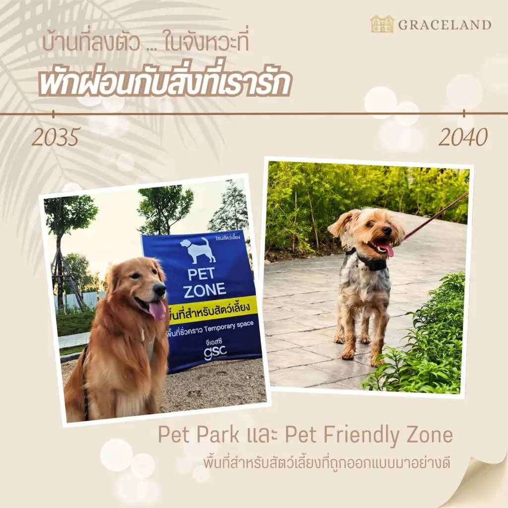 บ้านเดี่ยว เชียงใหม่ โซนสัตว์เลี้ยง: ใส่ใจทุกสมาชิกในบ้าน