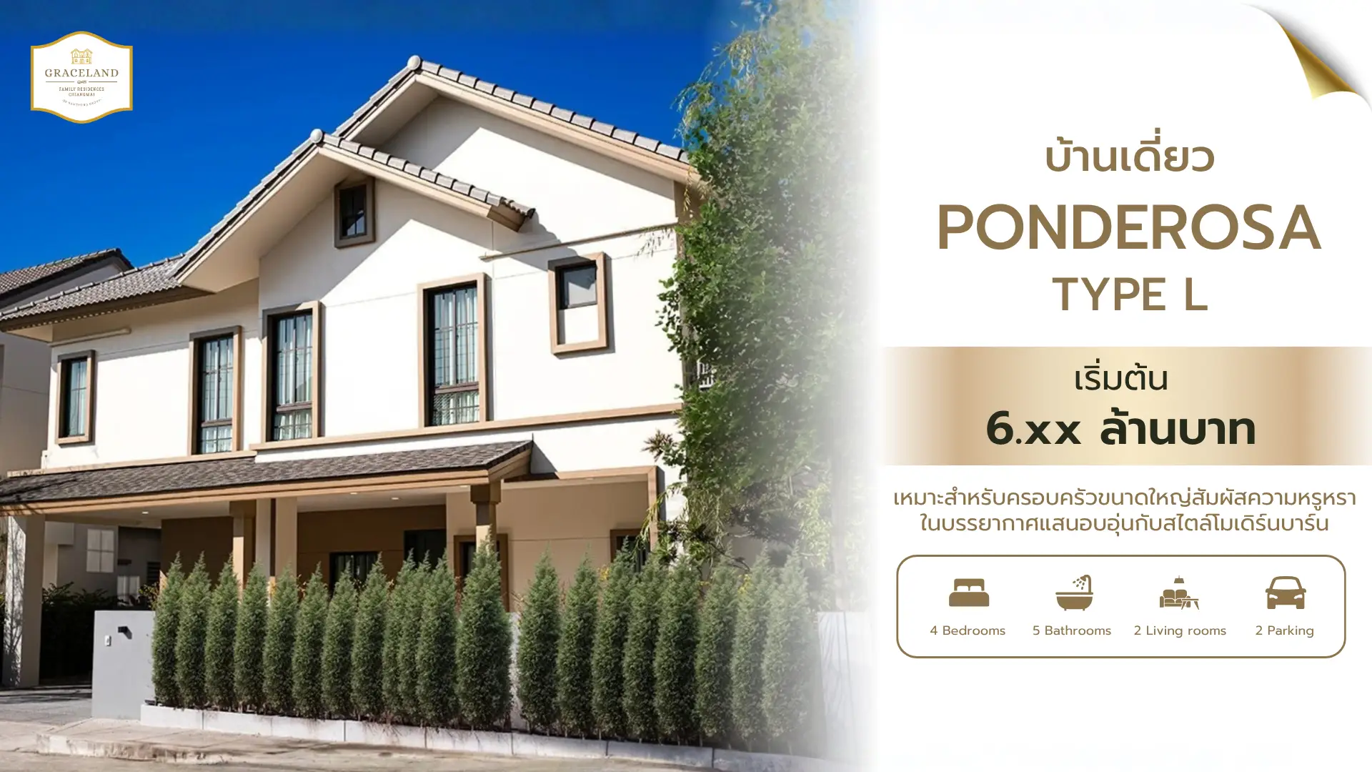 TYPE L PONDEROSA